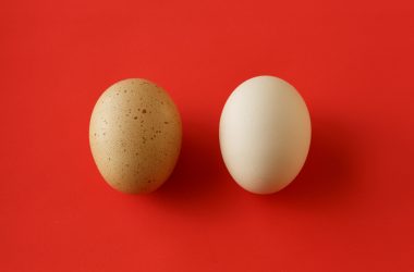 product-manager-vs-program-manager.what’s-the-difference?