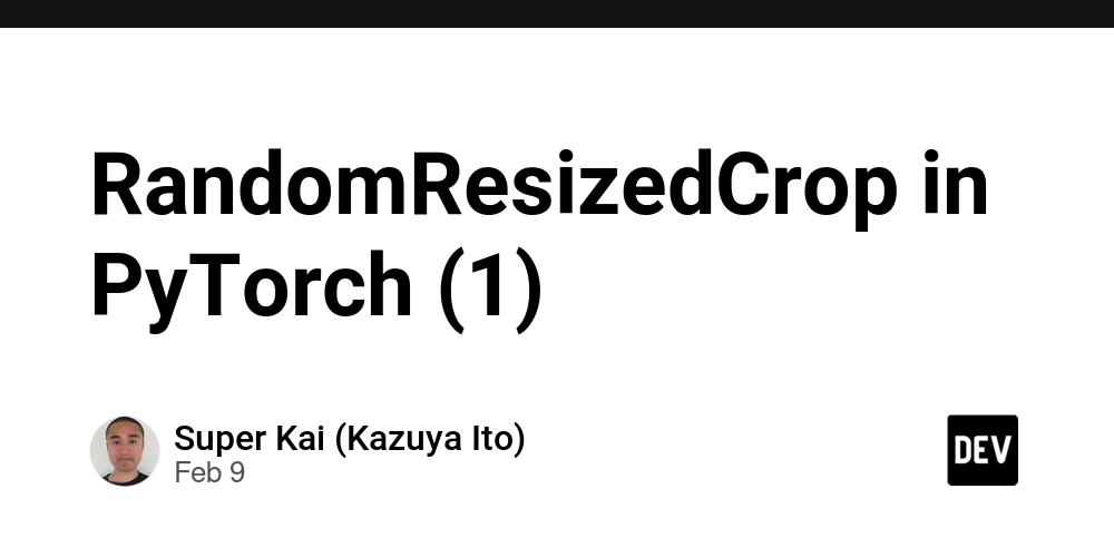 randomresizedcrop-in-pytorch-(1)