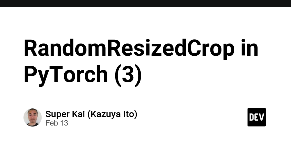 randomresizedcrop-in-pytorch-(3)