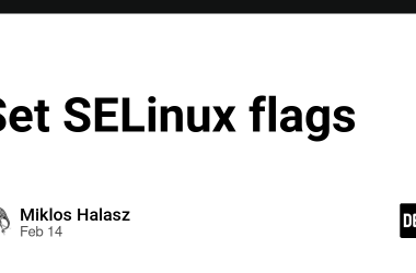 set-selinux-flags