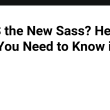 is-css-the-new-sass?-here’s-what-you-need-to-know-in-2025