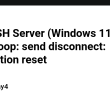 openssh-server-(windows-11)-:-client-loop:-send-disconnect:-connection-reset
