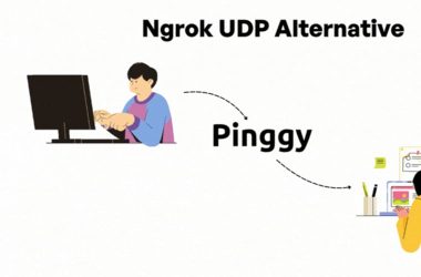ngrok-alternative-for-udp-tunneling:-exploring-better-options