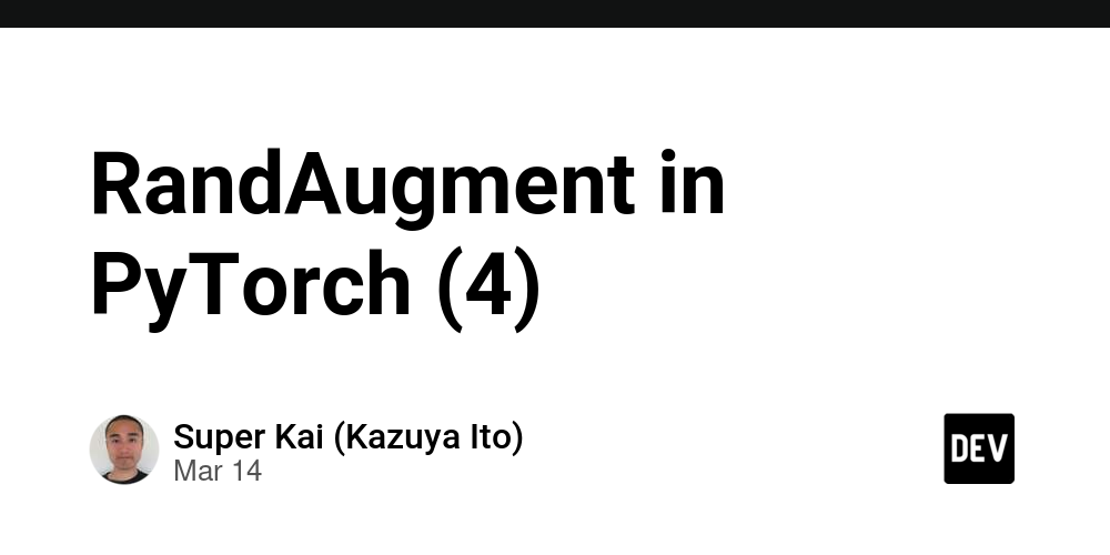 randaugment-in-pytorch-(4)