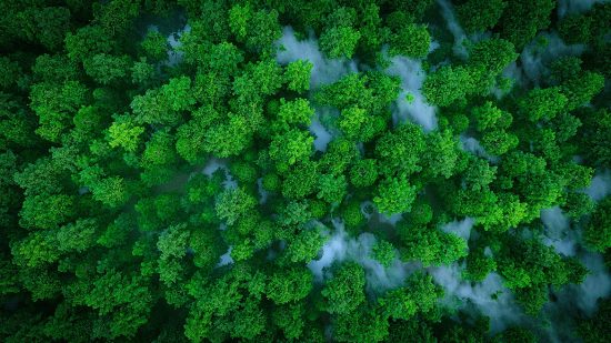 a-better-alternative-to-siloed-esg