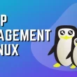 group-management-in-linux:-my-journey-to-organized-systems