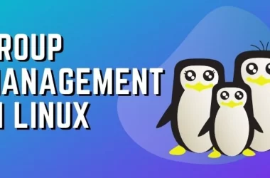 group-management-in-linux:-my-journey-to-organized-systems