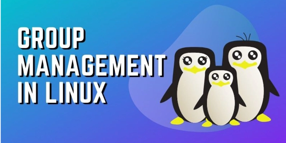 group-management-in-linux:-my-journey-to-organized-systems