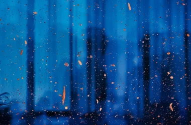 embracing-change:-the-real-skill-every-software-engineer-needs