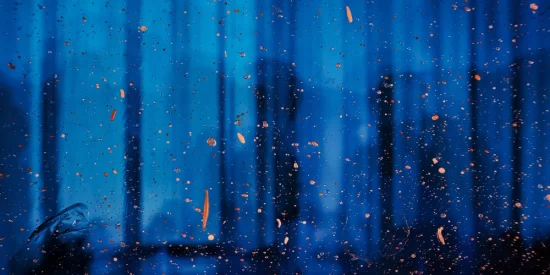 embracing-change:-the-real-skill-every-software-engineer-needs