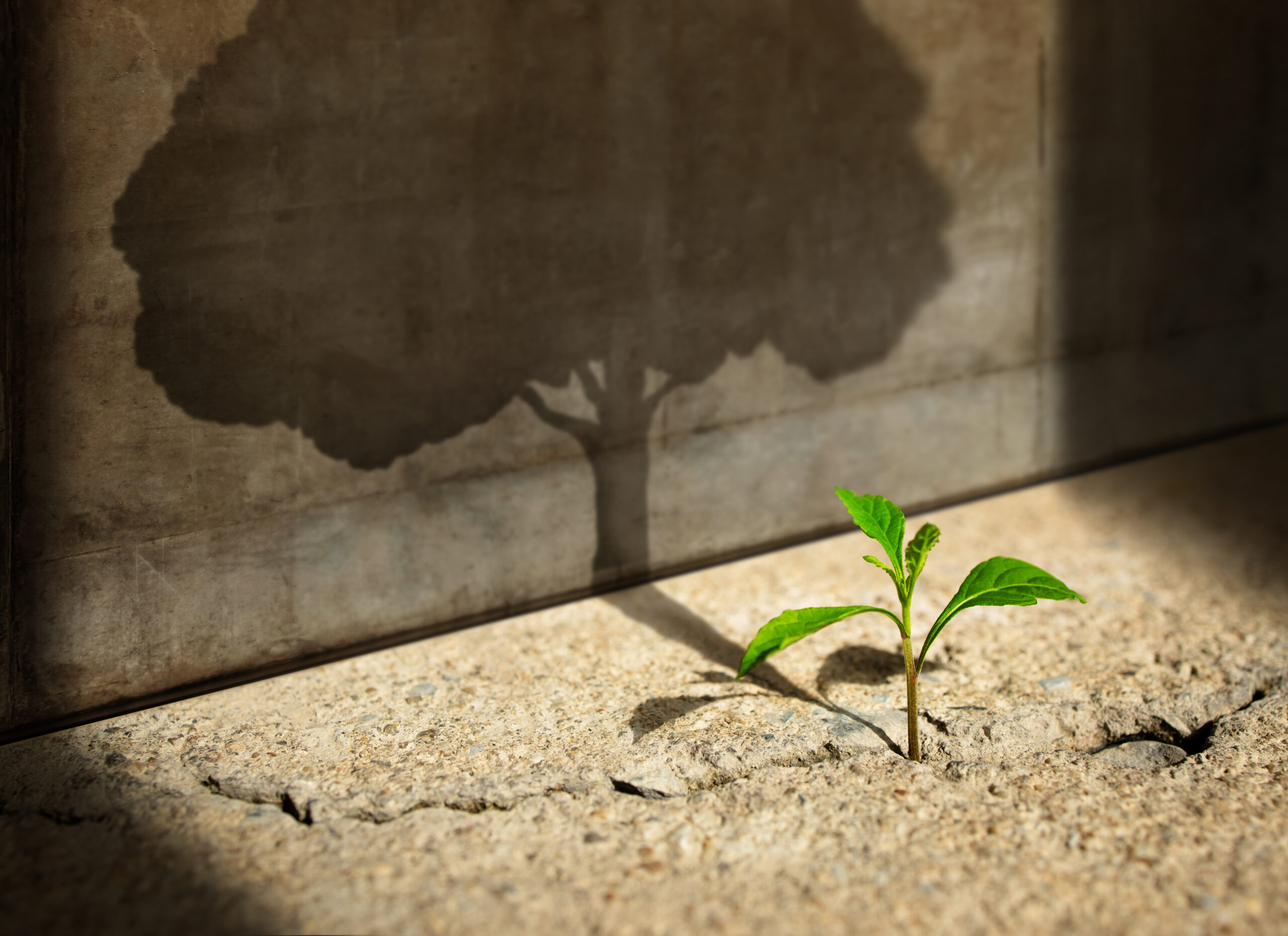 why-self-care-is-your-secret-weapon-as-a-product-manager
