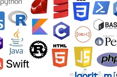 what-was-your-first-programming-language-—-and-why-did-you-start-with-it?