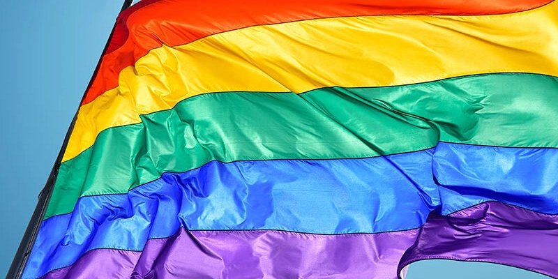 june-celebrations:-pride-in-the-shadows,-still-we-shine.