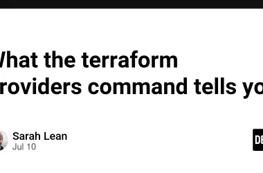 what-the-terraform-providers-command-tells-you
