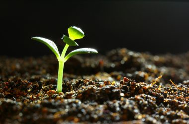 how-to-turn-mistakes-into-team-growth-as-a-product-leader