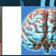 sunday-rewind:-building-fair-and-innovative-teams:-the-promise-and-power-of-behavioural-science-by-bibi-groot