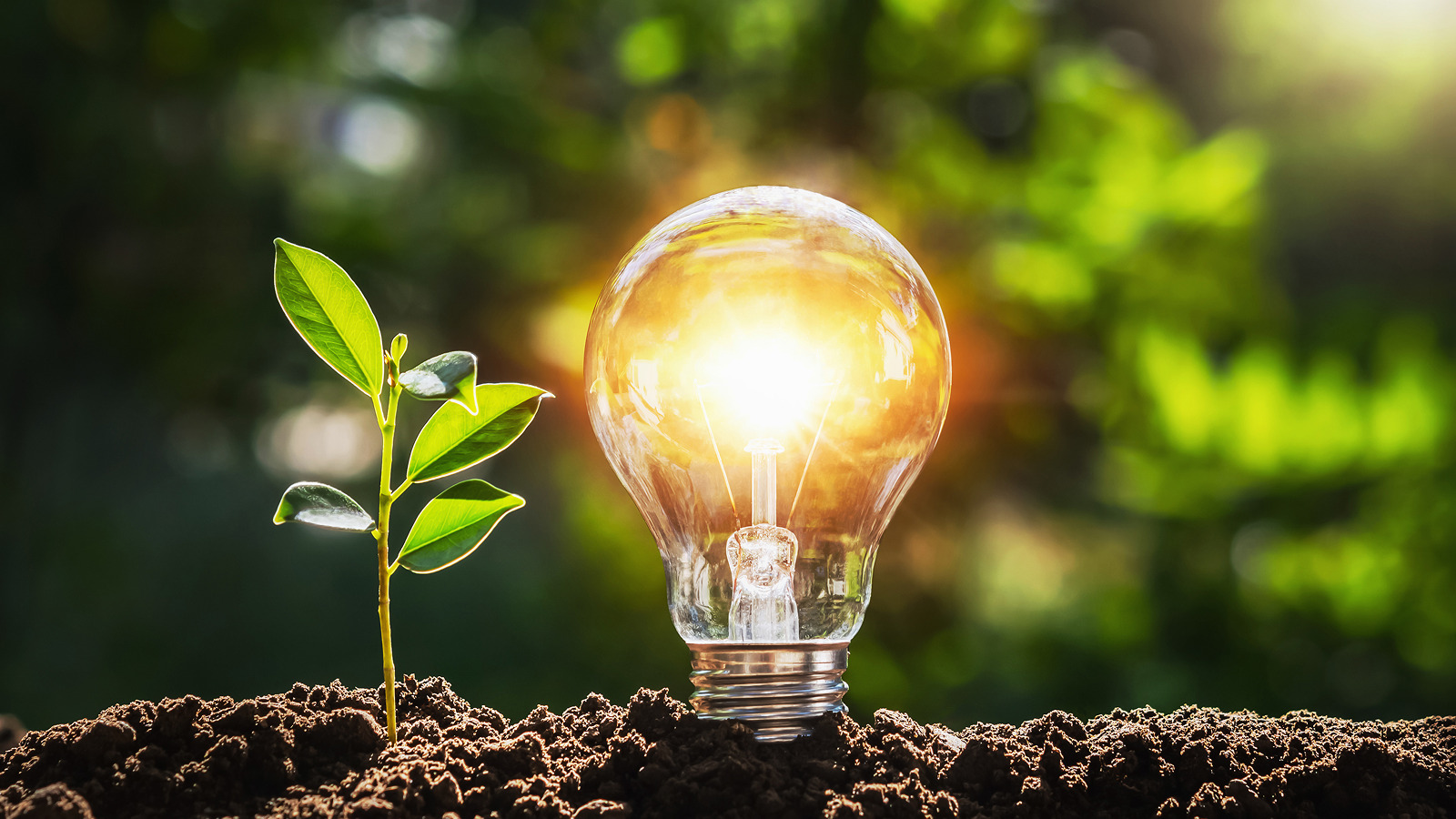 the-quiet-power-of-internal-tools:-scaling-product-innovation-through-invisible-infrastructure