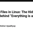 special-files-in-linux:-the-hidden-power-behind-“everything-is-a-file”