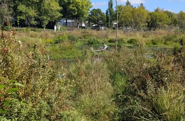 ai-represents-nothing-new