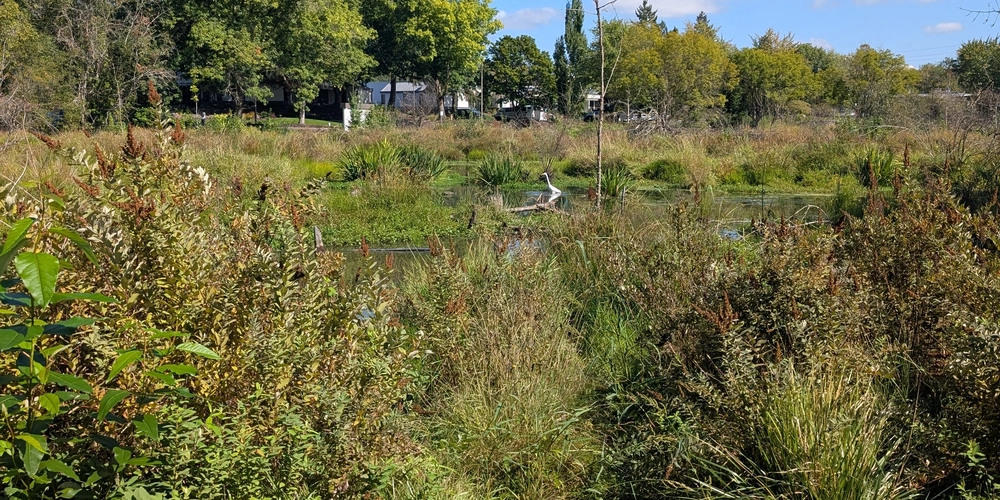 ai-represents-nothing-new