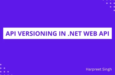 api-versioning-in.net-web-api