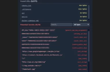 flashfuzz-quick-url-fuzzing-&-secret-scanning,-straight-from-your-browser