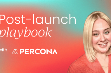 the-post-launch-playbook:-turning-launch-momentum-into-sustainable-growth